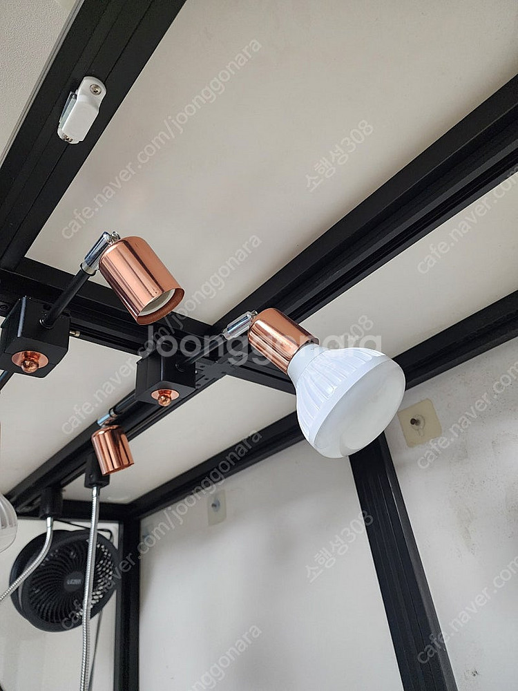 식물 온실장 판매--5